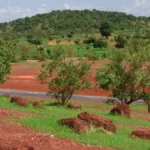 Landscape view of the Sahel region in Mali featuring red earth and scattered trees, representing the geographical theater of the recent geopolitical shifts in West Africa.