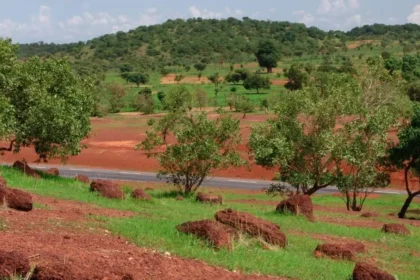 Landscape view of the Sahel region in Mali featuring red earth and scattered trees, representing the geographical theater of the recent geopolitical shifts in West Africa.