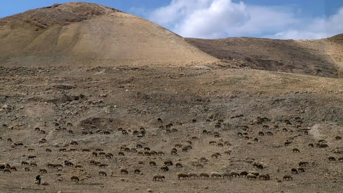 Bedouin encampment on hillside terrain in the West Bank near the Jordan River